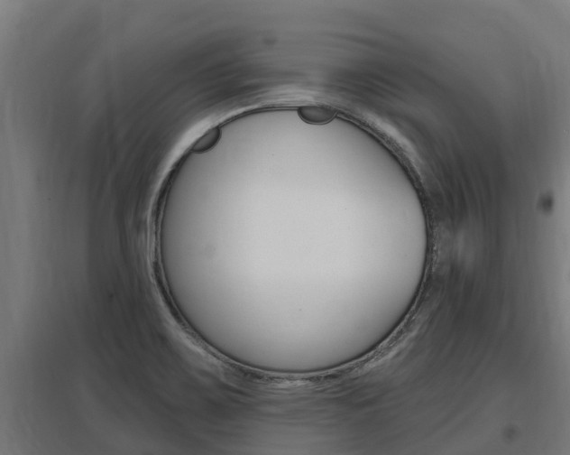 X0000097591467200802290738
