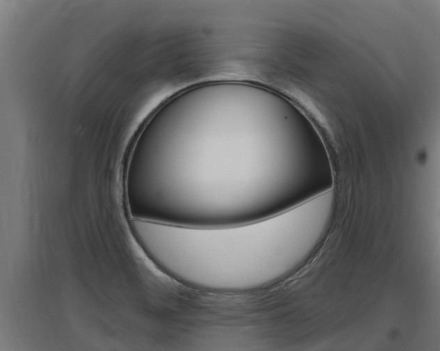 X0000097591468200802290738