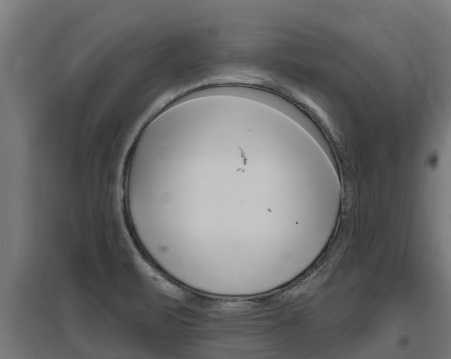 X0000097591471200802290738