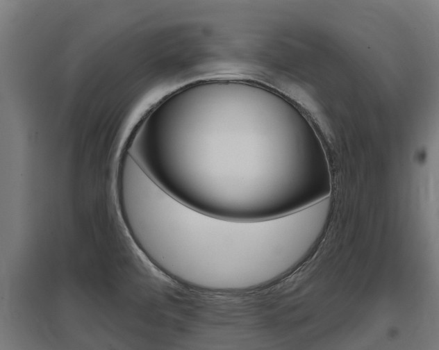 X0000097591472200802290738