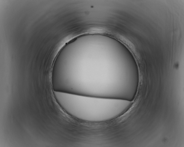 X0000097591473200802290738