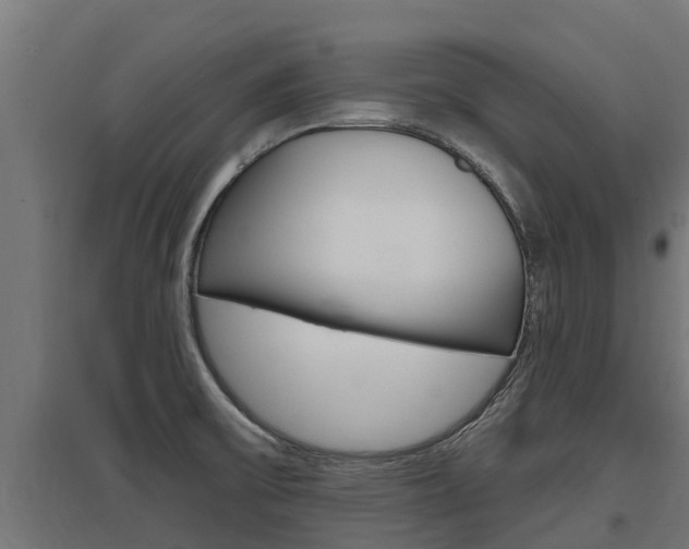 X0000097591475200802290738