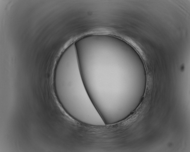 X0000097591477200802290738
