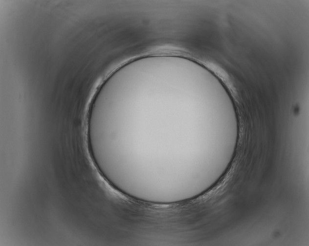 X0000097591478200802290738