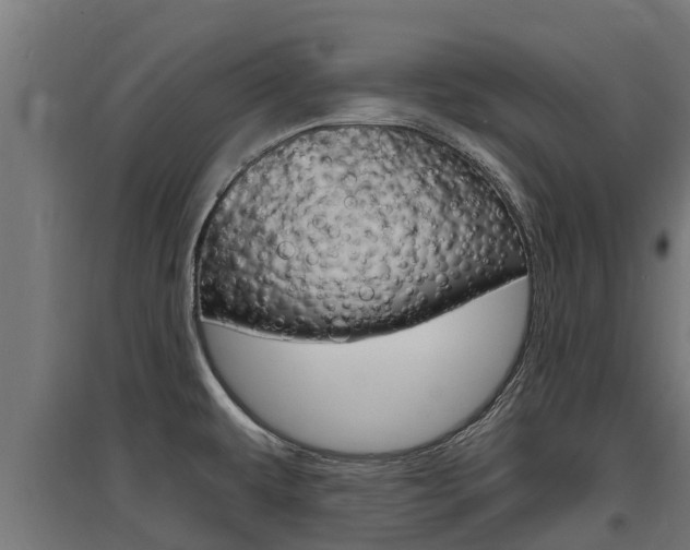 X0000097591479200802290738