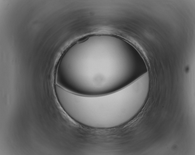 X0000097591480200802290738
