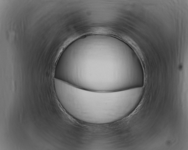 X0000097591481200802290738