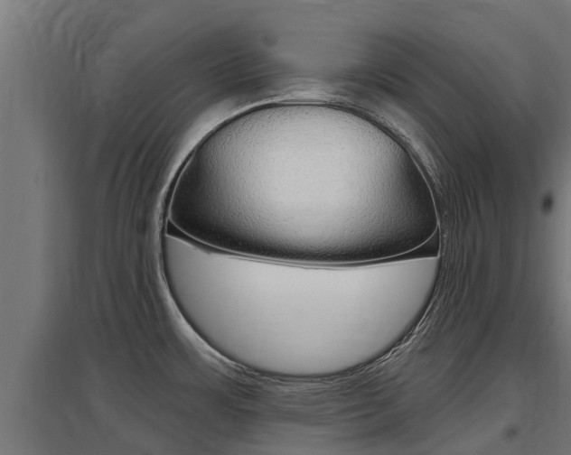 X0000097591483200802290738
