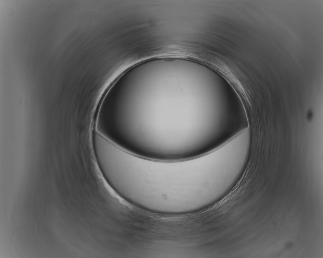 X0000097591484200802290738