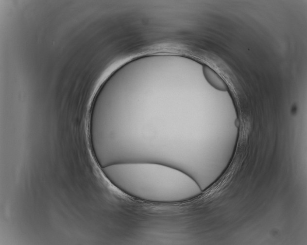 X0000097591486200802290738