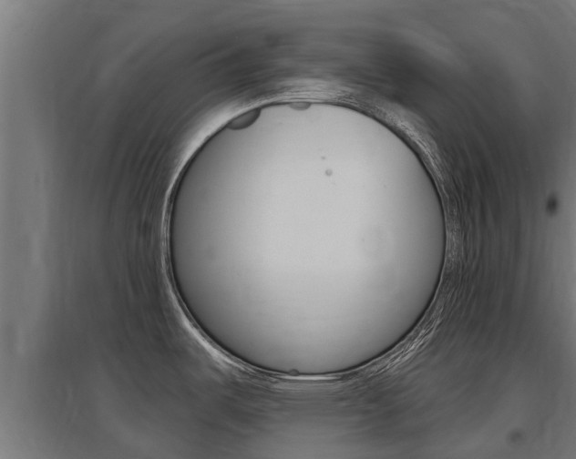 X0000097591487200802290738