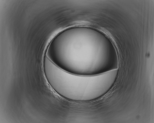 X0000097591488200802290738