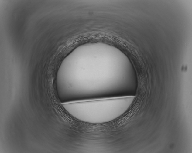 X0000097591489200802290737