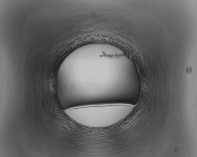 X0000097591490200802290738
