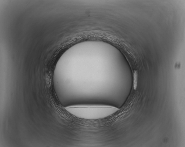 X0000097591491200802290738