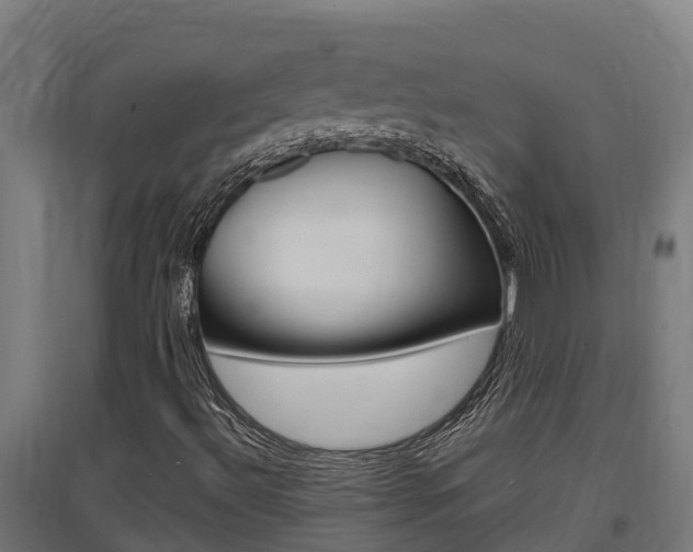 X0000097591492200802290738