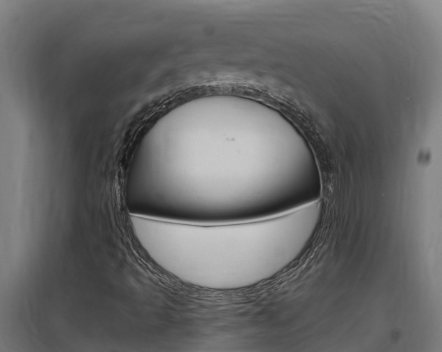 X0000097591493200802290738