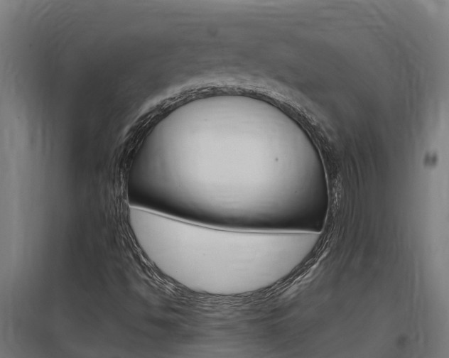 X0000097591494200802290738