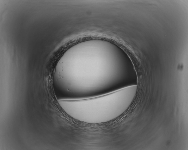 X0000097591495200802290738