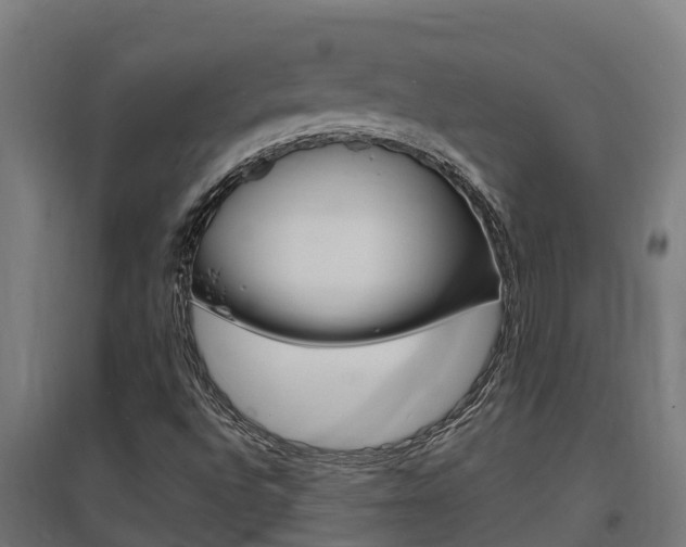 X0000097591496200802290738