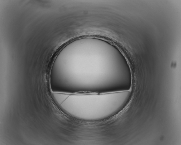X0000097591497200802290738
