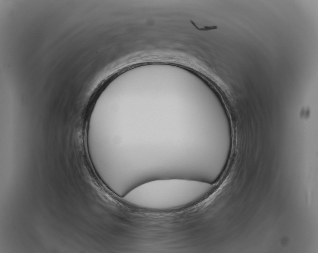 X0000097591498200802290738