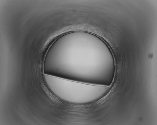 X0000097591499200802290738