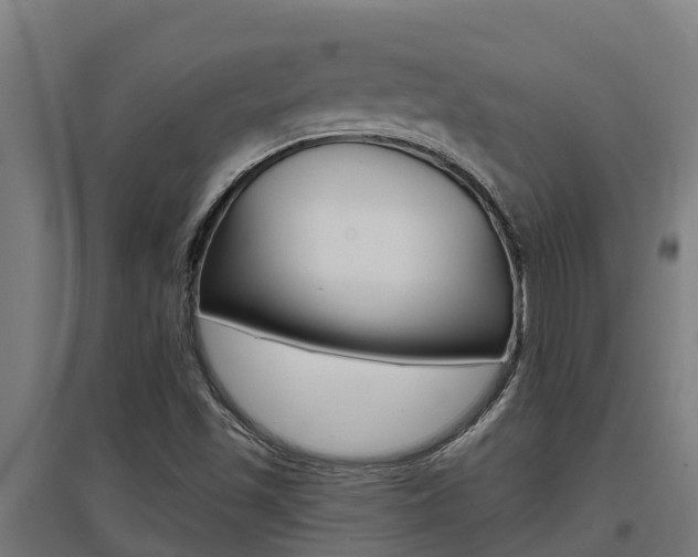 X0000097591501200802290738