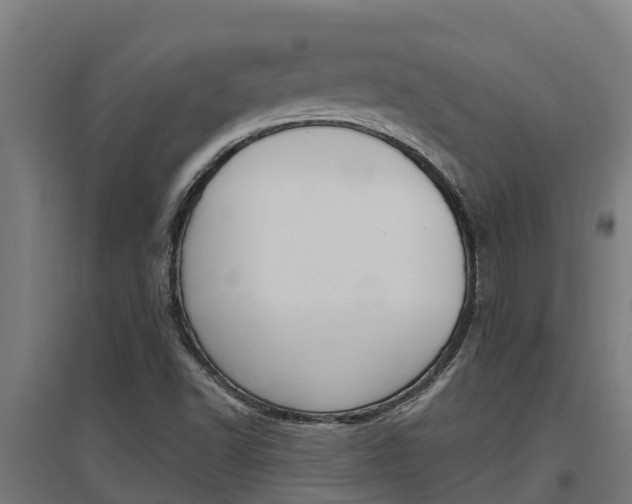 X0000097591502200802290738