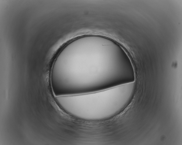 X0000097591503200802290738