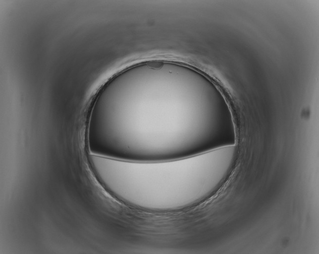 X0000097591504200802290738