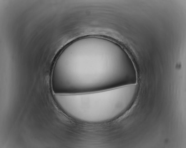 X0000097591505200802290738