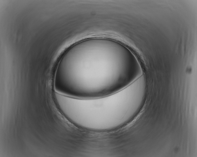 X0000097591506200802290738