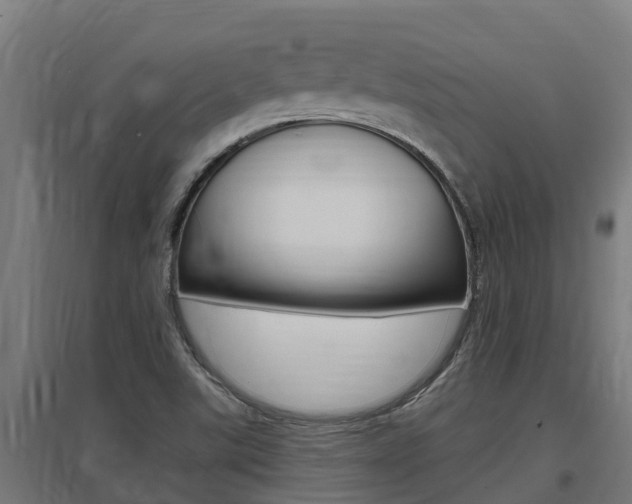 X0000097591507200802290738