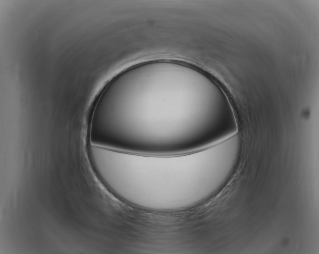 X0000097591508200802290738