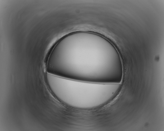 X0000097591509200802290738