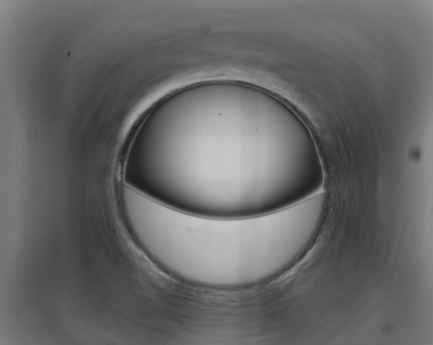 X0000097591510200802290738