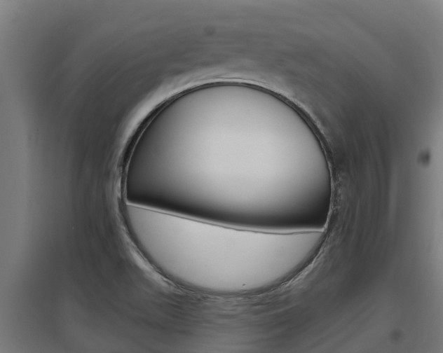 X0000097591511200802290738