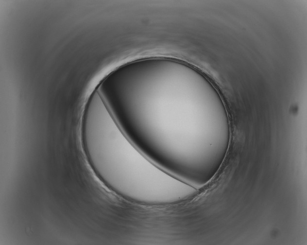 X0000097591512200802290738