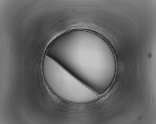 X0000097591513200802290738