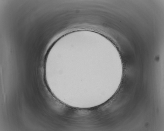 X0000097591514200802290738