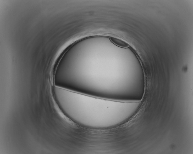 X0000097591515200802290738