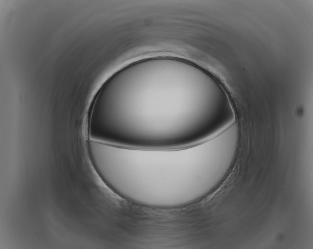 X0000097591516200802290738