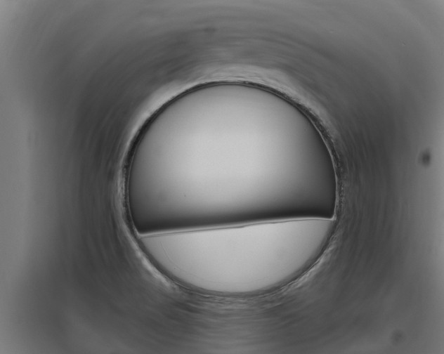 X0000097591517200802290738