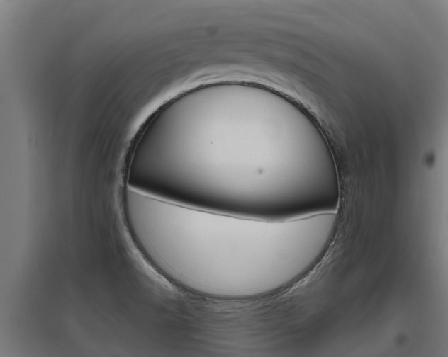 X0000097591518200802290738
