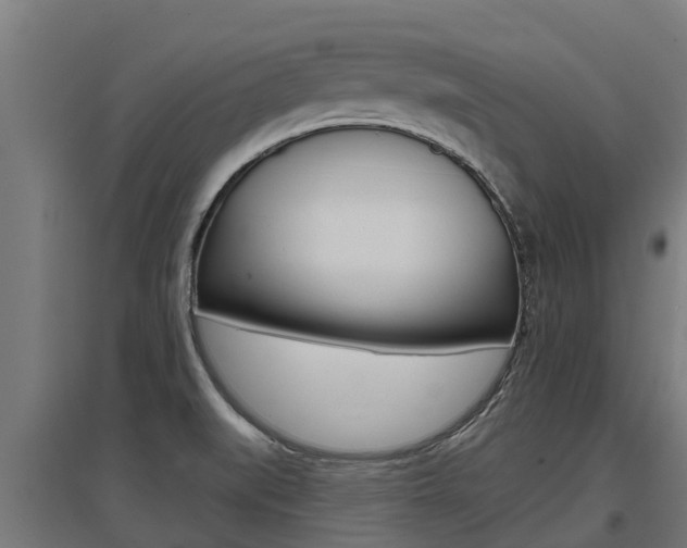 X0000097591519200802290738