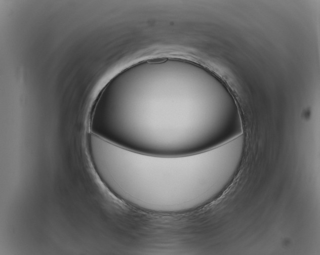 X0000097591520200802290738