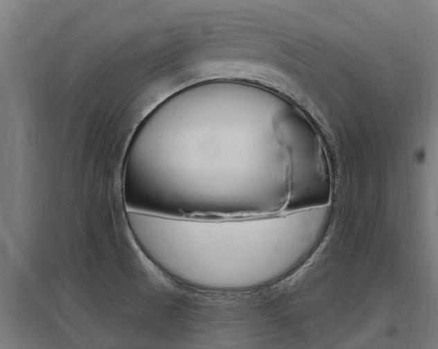 X0000097591521200802290738