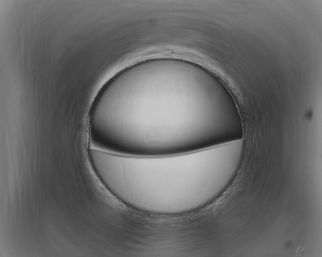 X0000097591522200802290738