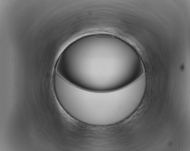 X0000097591524200802290738